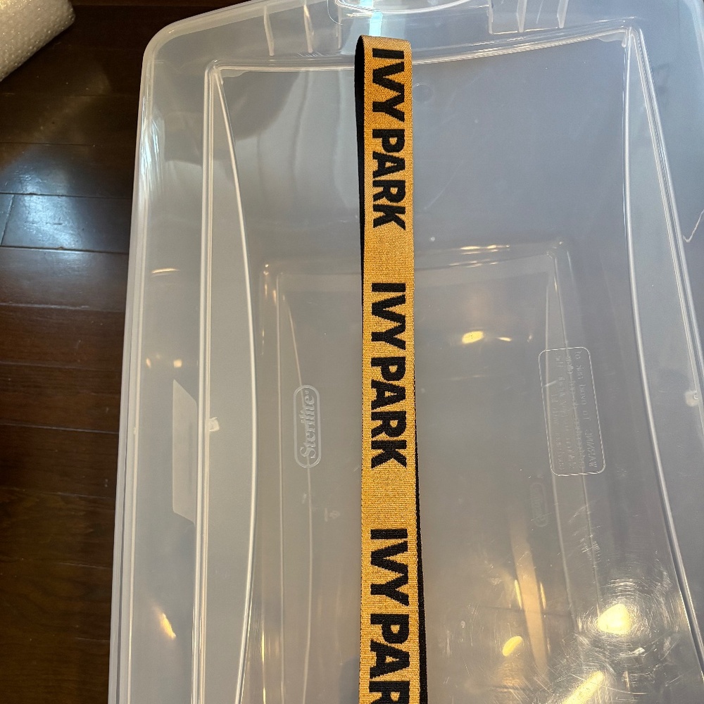 Ivy Park Reversible Belt, Brand New